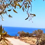 Amοopi أموبي