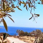 فيلة Amοopi *