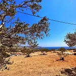 فيلة Amοopi *