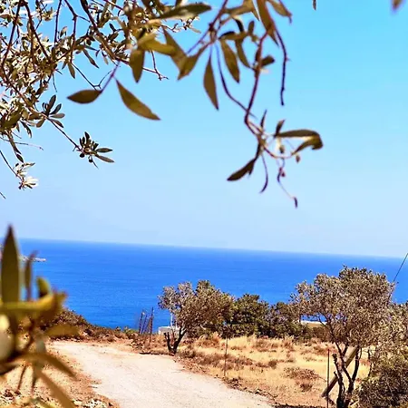Amοopi Amoopí