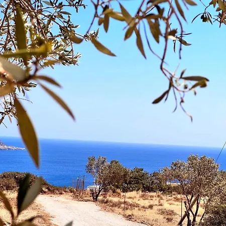 Villa Amοopi *