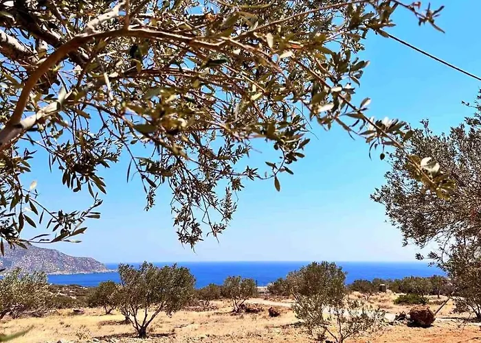 Amοopi فيلة أموبي