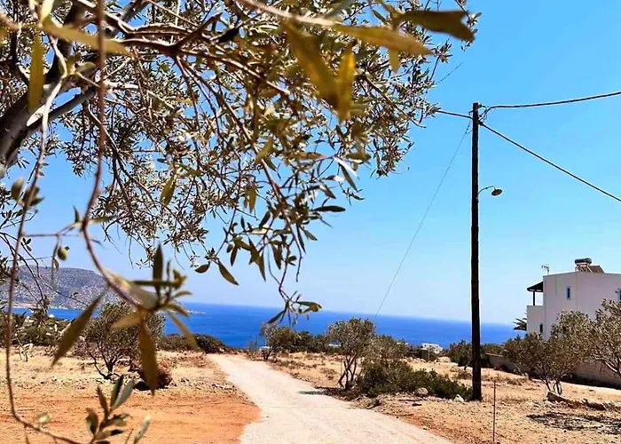 فيلة Amοopi أموبي